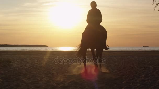 Silhouet van jonge ruiter op paard op het strand richting zonsondergang licht. Achteraanzicht. - Video