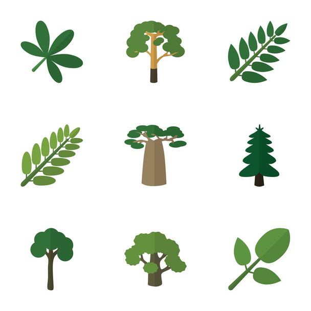 Flat Icon Ecology Set Of Leaves, Tree, Maple And Other Vector Objects. Also Includes Baobab, Park, Spruce Elements. - Vektori, kuva