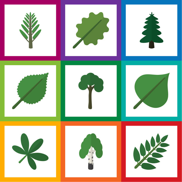 Flat Icon Bio Set Of Acacia Leaf, Park, Timber And Other Vector Objects. Also Includes Acacia, Alder, Oak Elements. - Vektori, kuva
