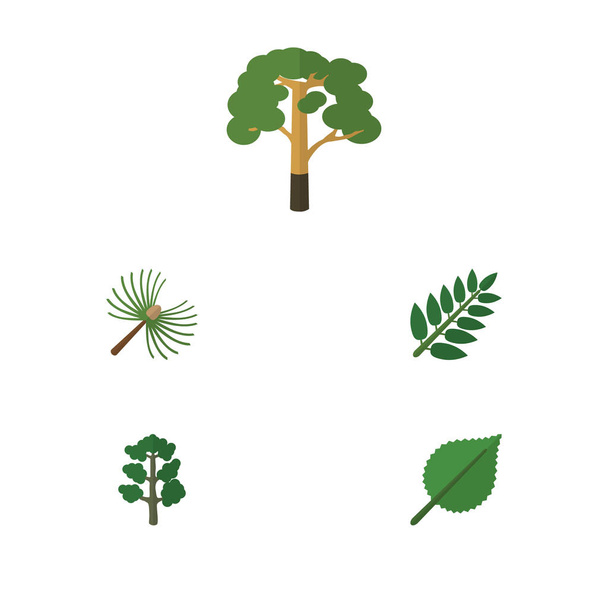 Flat Icon Bio Set Of Rosemary, Wood, Linden And Other Vector Objects. Also Includes Tree, Wood, Acacia Elements. - Vektori, kuva