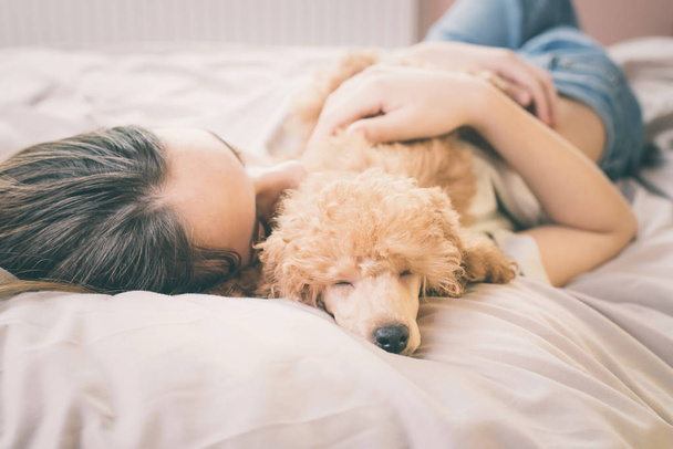 Young woman is lying and sleeping with poodle dog in bed. - Фото, изображение