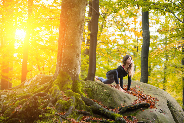 Nainen harjoittelee joogaa syksyllä metsässä isolla kivellä
 - Valokuva, kuva