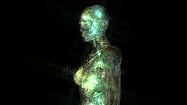 Digital 3D Animation of the human Anatomy - Séquence, vidéo