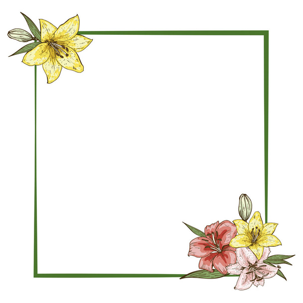 Colorfull lily flowers in frame isolated on white background. Ready template for your design. Vector illustration. - Vector, Image