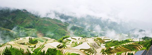 龍脊、桂林周辺地域、中国の美しい棚田のパノラマ - 写真・画像