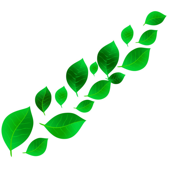 Green leaves on white background. Vector illustration for design - Vektor, obrázek