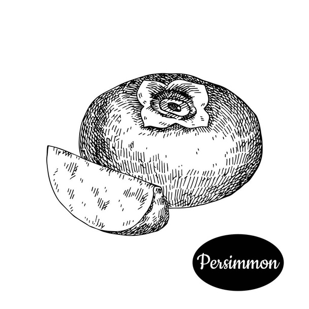 Hand drawn sketch style fresh persimmon. - Vector, Image