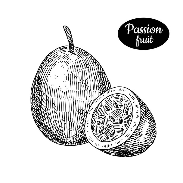 Hand drawn sketch style fresh passionfruit. - Vector, Imagen