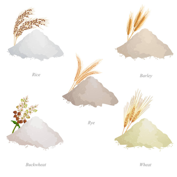 Cinque lotti con farina di cereali, spighe e nomi
  - Vettoriali, immagini