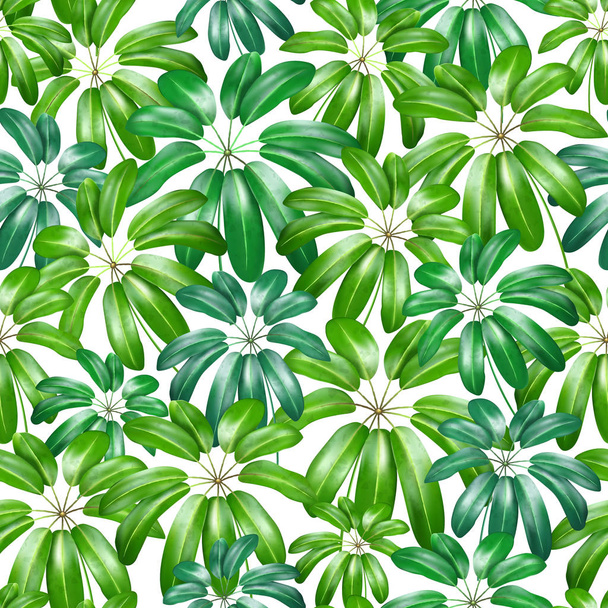 Seamless floral nature background pattern with exotic leaves. Vector illustration. - ベクター画像