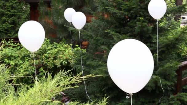 Hotelpark im Grünen mit weißen Heliumkugeln für Hochzeitsfeier dekoriert - Filmmaterial, Video