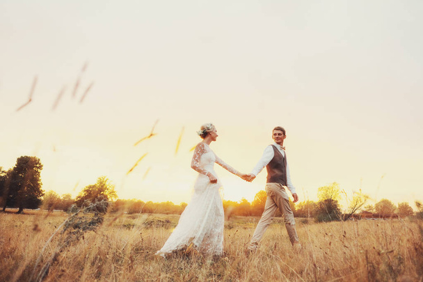 A couple in wedding clothes is walking in the field at sunset, the bride and groom. - Foto, immagini
