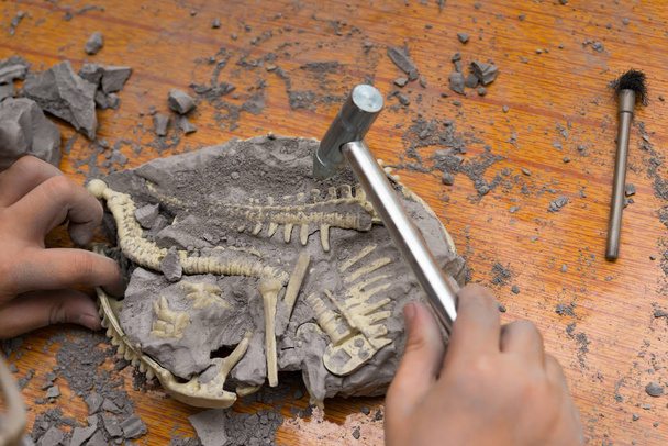 παιδί εκσκαφή Spinosaurus οστά από ένα βράχο - Φωτογραφία, εικόνα