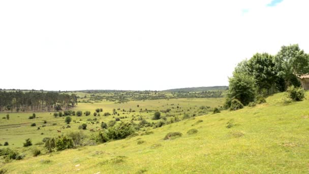 Φυσικό πάρκο του Urbasa και Άντια - Πλάνα, βίντεο
