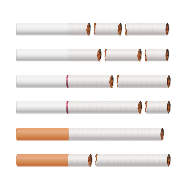 Сломанный вектор сигарет. Курение убивает. Медицинское здравоохранение бросить курить Концепция. Табачные листья. Реалистичная иллюстрация. Isolated On White
. - Вектор,изображение