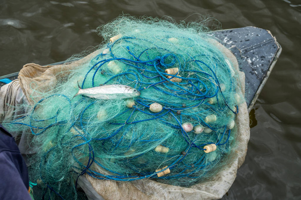 Peixe em redes de pesca, Poti, Geórgia
 - Foto, Imagem