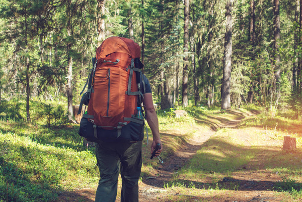 Homem ativo saudável com mochila caminhadas na bela floresta de montanha no verão ao sol
 - Foto, Imagem