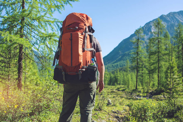 Zdrowy człowiek Active z plecak piesze wycieczki w góry piękny las w letnim słońcu - Zdjęcie, obraz