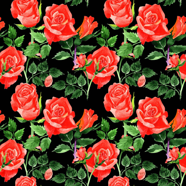 Wildflower roses flower pattern in a watercolor style. - Photo, Image