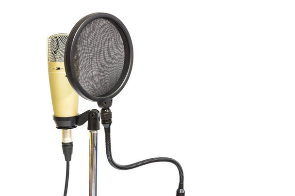 Microphone à condensateur professionnel avec filtre pop
 - Photo, image