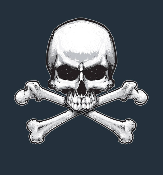 Pirates Jawless Skull and Bones - Vector, Image