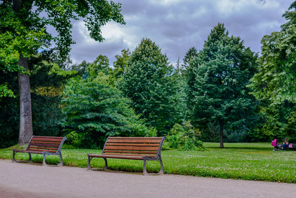 Twee rustieke houten bankjes in een rustig park - Foto, afbeelding
