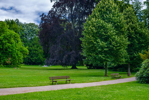 Dois bancos de madeira rústica em um parque tranquilo
 - Foto, Imagem