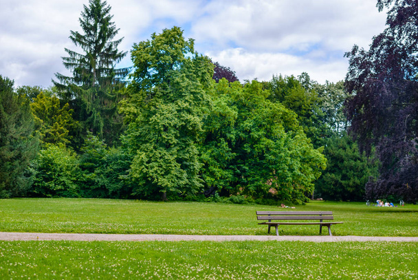 Rustic wooden slatted bench in a park - Φωτογραφία, εικόνα