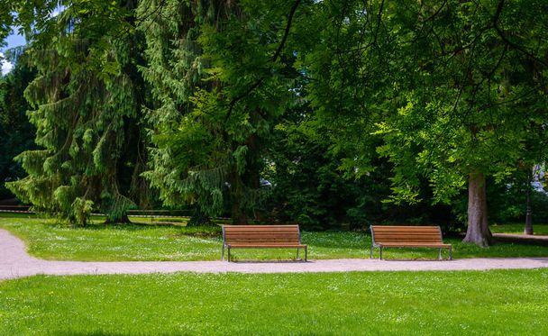 Deux bancs en bois rustiques dans un parc tranquille
 - Photo, image