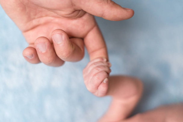 Close up immagine di babys mano che tiene il dito sambuco
 - Foto, immagini