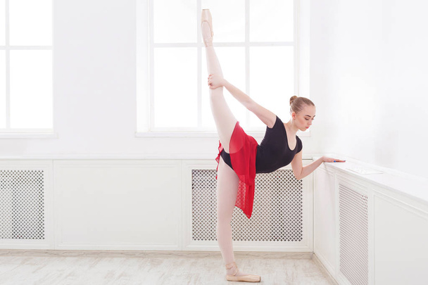 Prachtige ballerina dans op pointe - Foto, afbeelding