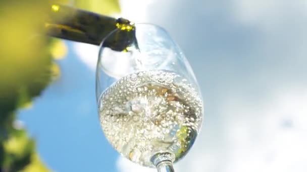 Pouring a glass of white wine. - Footage, Video