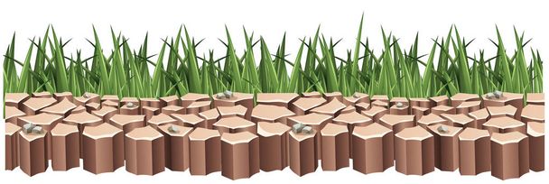 Dry land and green grass - Vector, Image