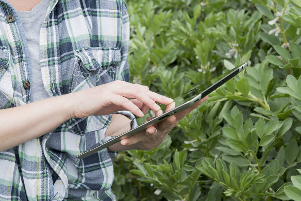 Vingers te tikken op een Tablet PC met planten in de achtergrond - Foto, afbeelding