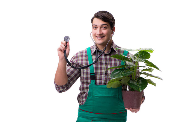 Jongeman tuinman geïsoleerd op wit - Foto, afbeelding