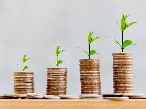 step of coins stacks with tree growing on top, loft style background, money, saving and investment concept. - 写真・画像