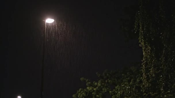 Noche lluviosa. Farola solitaria y un árbol húmedo
 - Imágenes, Vídeo