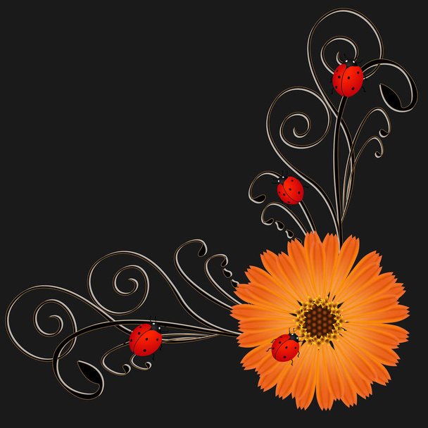 Hoek met goudsbloem bloem een rode lieveheersbeestjes op een zwarte achtergrond. - Vector, afbeelding
