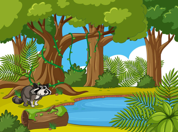 池でアライグマと森のシーン - ベクター画像