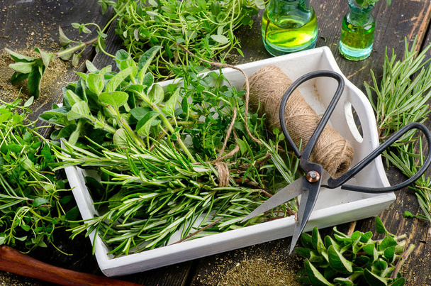 Fresh herbs on table - Foto, imagen