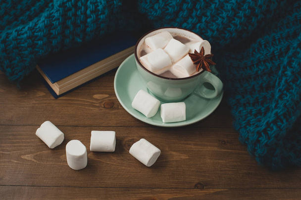  Zimní domácí pozadí - šálek horkého kakaa s marshmallow  - Fotografie, Obrázek