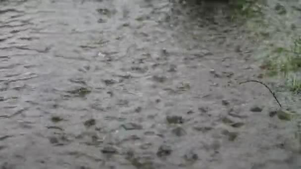 Silný déšť - Záběry, video