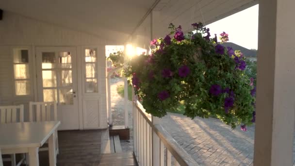 Bloemen hangen op veranda. - Video