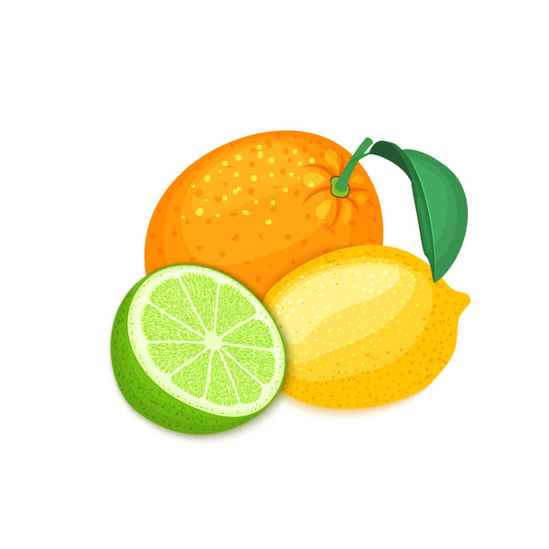 Összetétele trópusi gyümölcsök, narancs, citrom és lime. Csoport érett vektor citrus gyümölcsök, teljes és szelet design Élelmiszer csomagolás reggeli, méregtelenítés, kozmetikai krém, lekvár, gyümölcslé - Vektor, kép