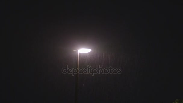 Noche lluviosa. Lámpara solitaria
 - Metraje, vídeo