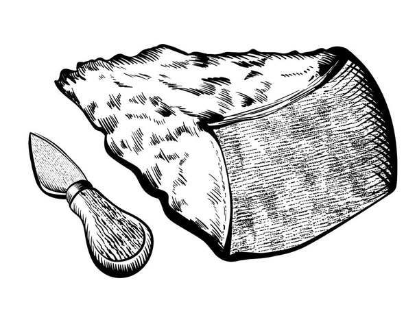 bıçak ile parmesan peyniri - Vektör, Görsel