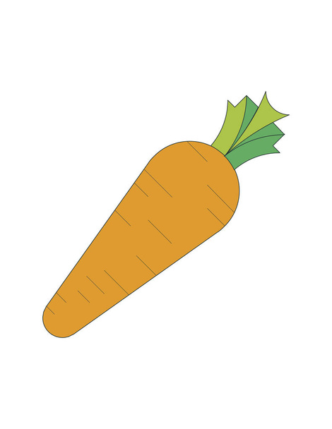Zanahoria dibujada a mano
 - Vector, imagen