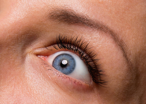 Лицо женщины с глазами и ресницами
 - Фото, изображение