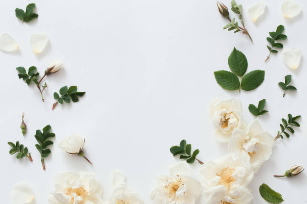 roses on white background - Foto, Imagem