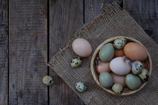 Set of different types birds eggs from chicken, pheasant and quail with feathers on a wooden background. - Foto, Imagen